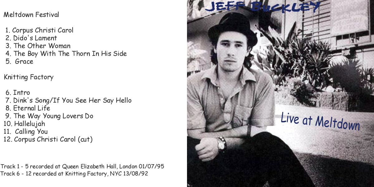 JeffBuckley1995-07-01TheMeltdownFestivalLondonUK (2).jpg